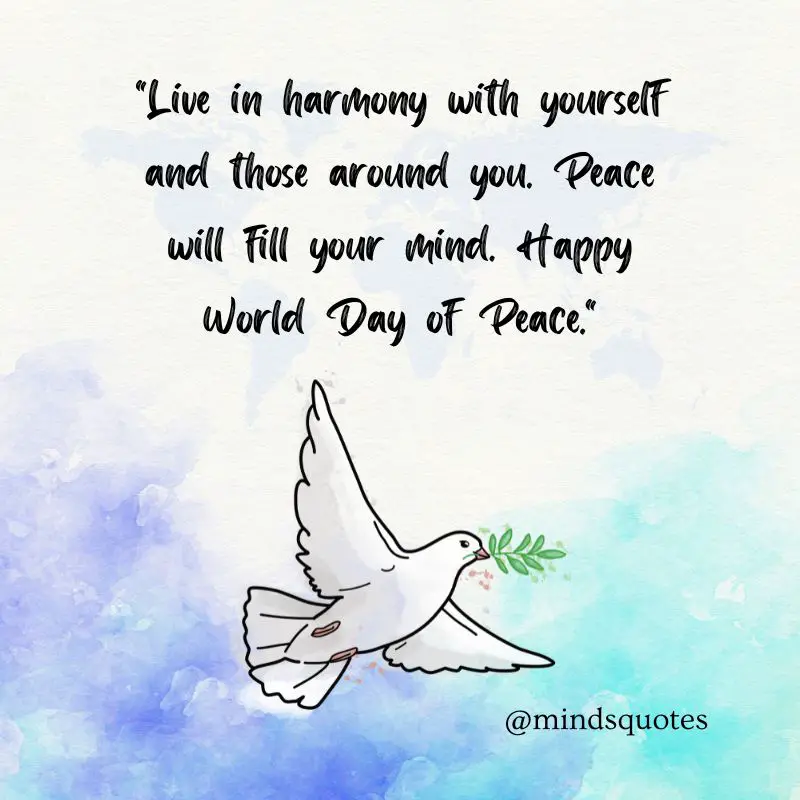 50 Inspiring World Day of Peace Quotes, Messages & Wishes 6 World Day of Peace Wishes