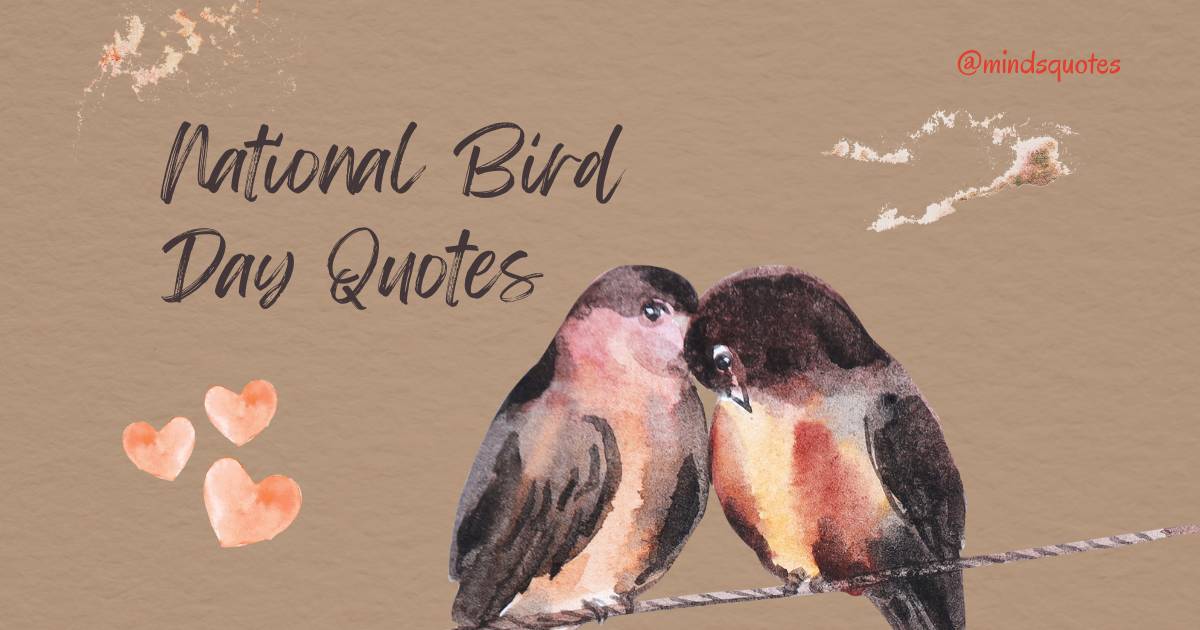50 National Bird Day Quotes, Wishes & Messages, Slogans