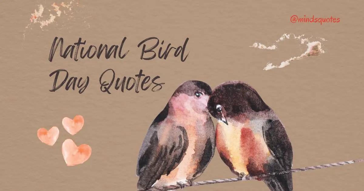 50 National Bird Day Quotes, Wishes & Messages, Slogans 50 National Bird Day Quotes, Wishes & Messages, Slogans