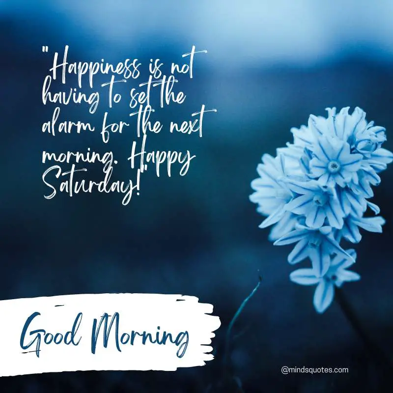 70 Saturday Good Morning Quotes That Will Make You Smile 11 Good Morning Happy Saturday Quotes