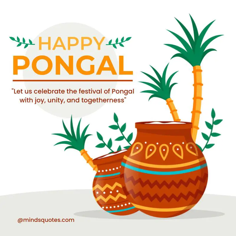 50 Happy Pongal Festival Quotes, Wishes, Messages, Greetings 7 Happy Pongal Festival Messages