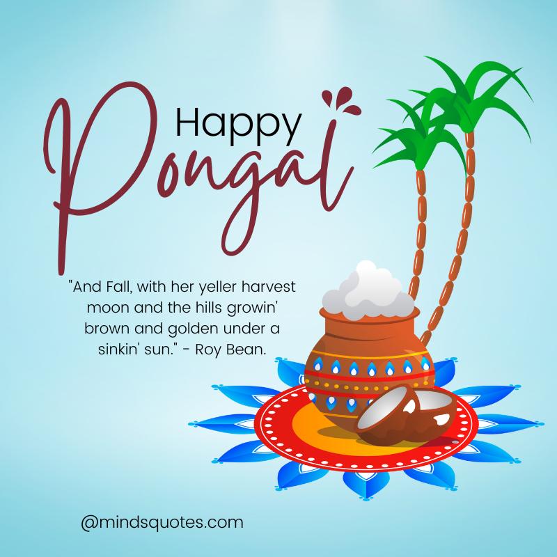 Happy Pongal Festival Quotes