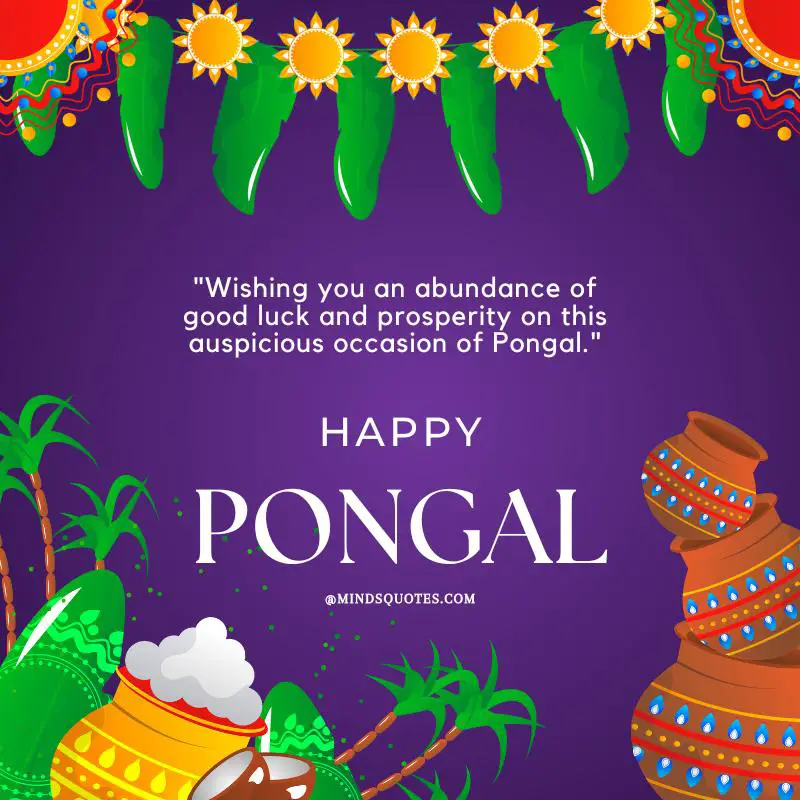 50 Happy Pongal Festival Quotes, Wishes, Messages, Greetings 4 Happy Pongal Festival Wishes