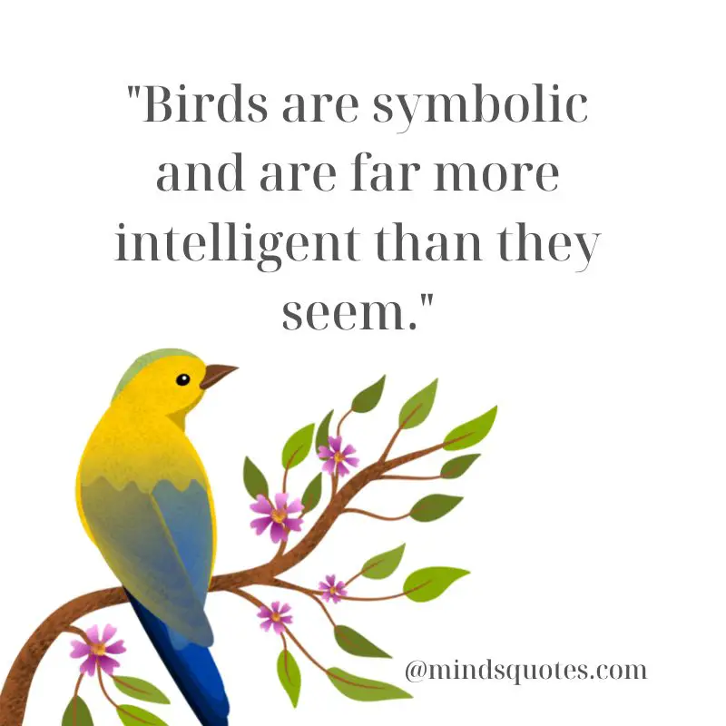 50 National Bird Day Quotes, Wishes & Messages, Slogans 6 National Bird Day Messages