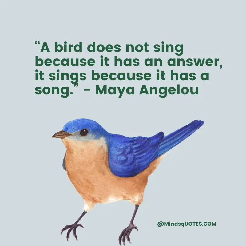 50 National Bird Day Quotes, Wishes & Messages, Slogans 3 National Bird Day Quotes