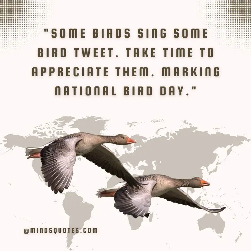 50 National Bird Day Quotes, Wishes & Messages, Slogans 5 National Bird Day Wishes