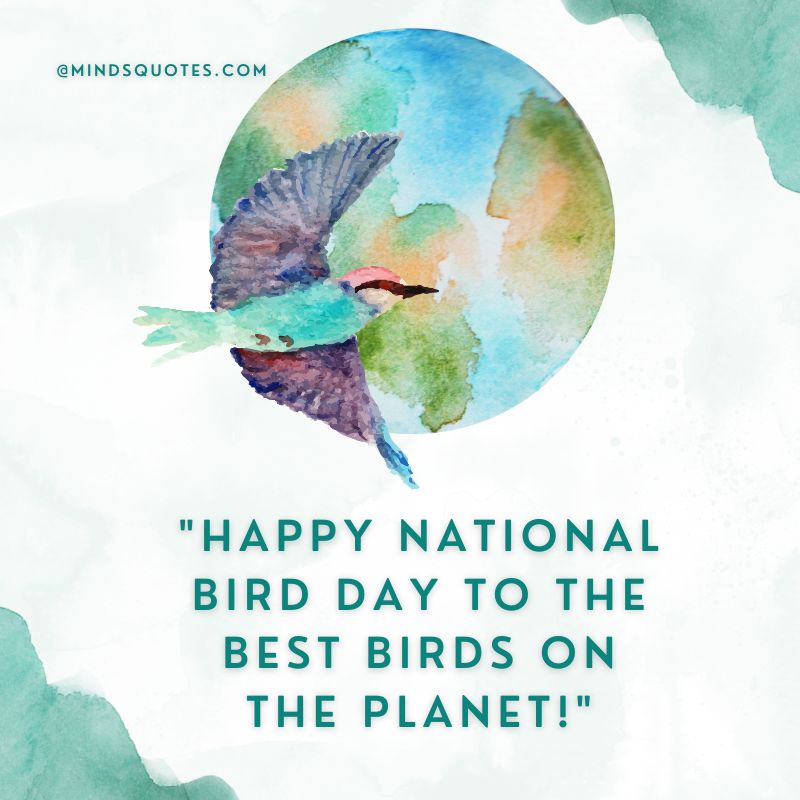 50 National Bird Day Quotes, Wishes & Messages, Slogans