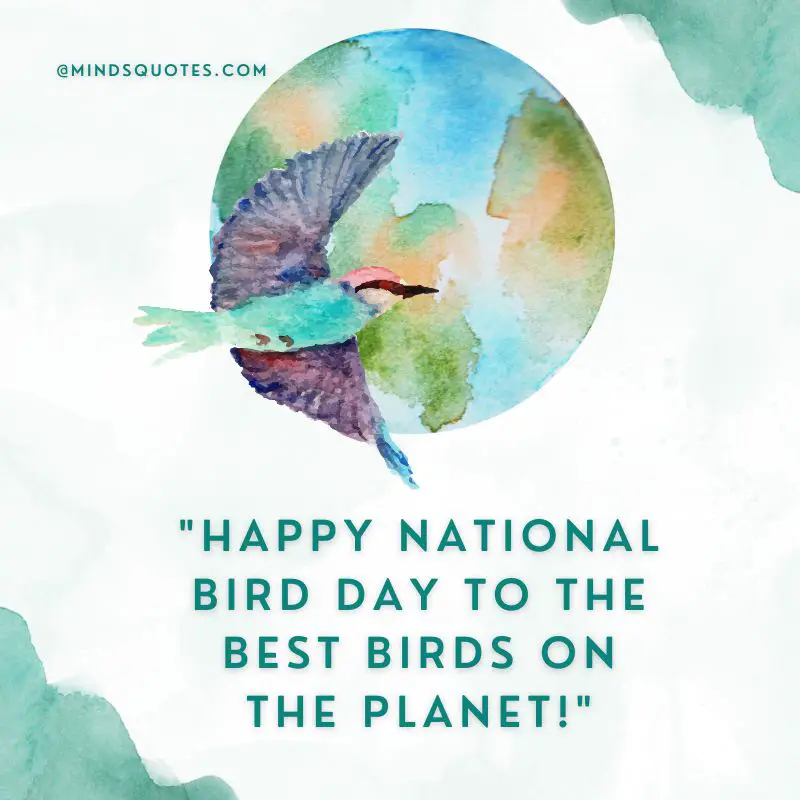 50 National Bird Day Quotes, Wishes & Messages, Slogans 50 National Bird Day Quotes, Wishes & Messages, Slogans