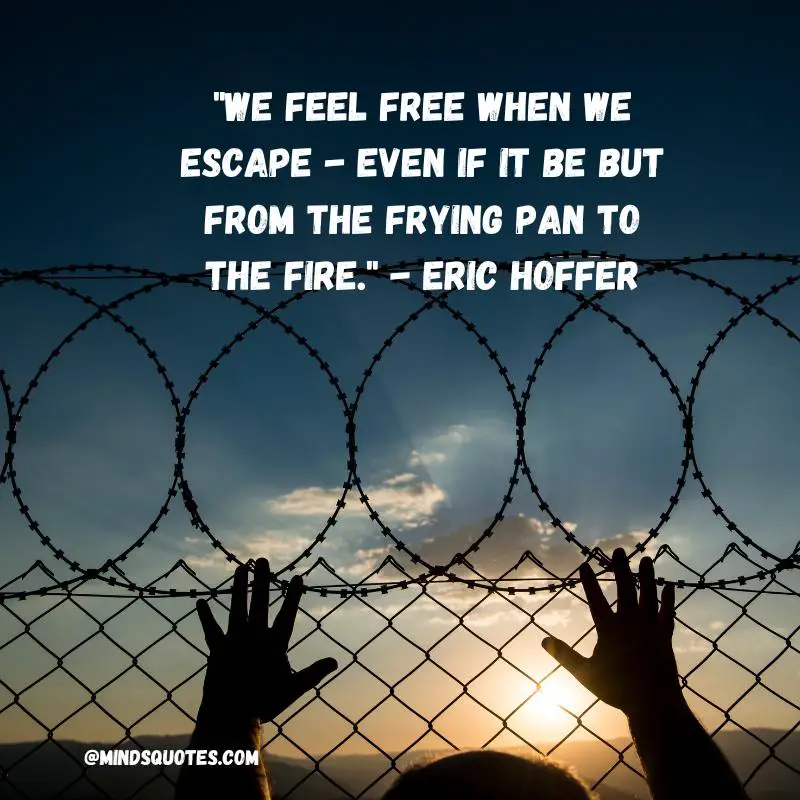 50 Famous National Escape Day Quotes, Wishes & Messages 2 National Escape Day Quotes