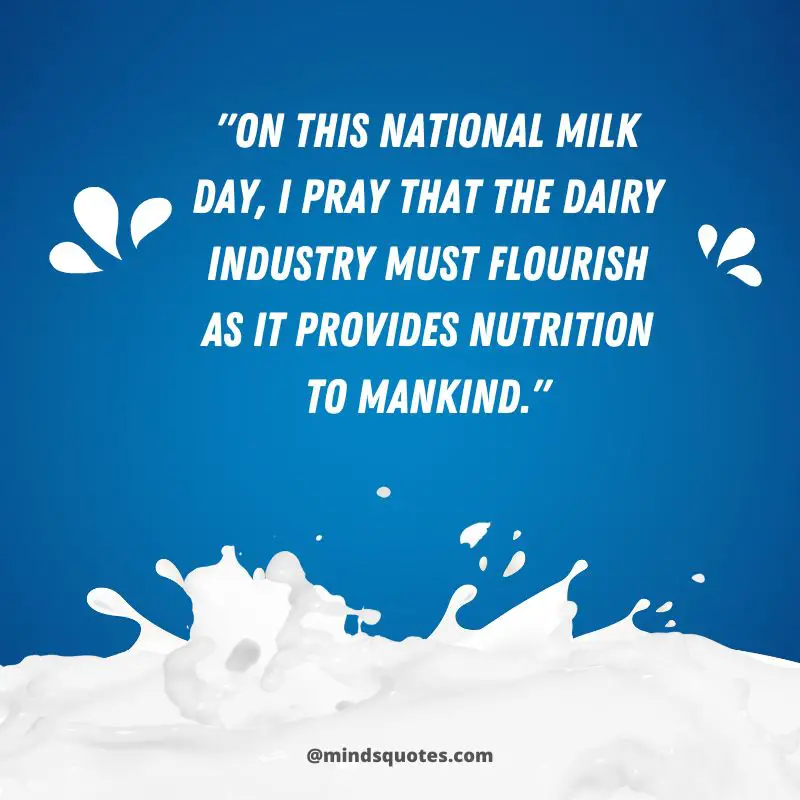 50 National Milk Day Quotes, Wishes & Messages, Slogans 7 National Milk Day Messages