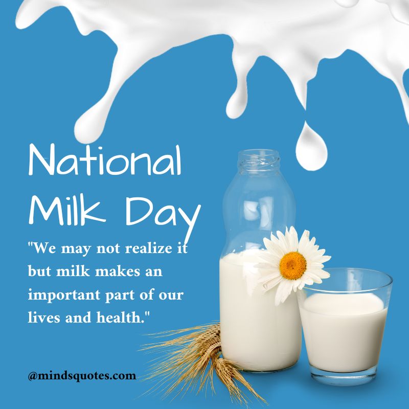 National Milk Day Quotes