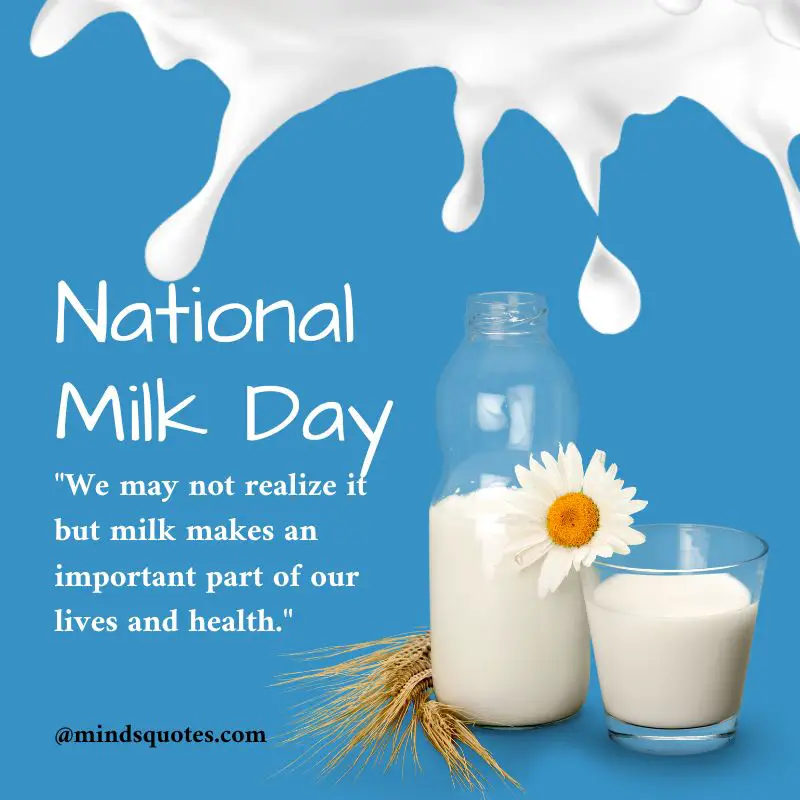 50 National Milk Day Quotes, Wishes & Messages, Slogans 3 National Milk Day Quotes