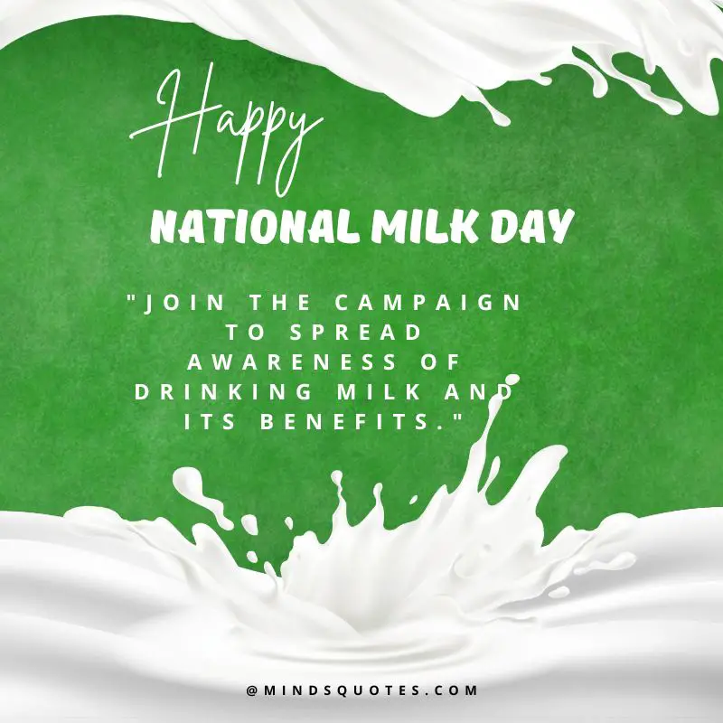 50 National Milk Day Quotes, Wishes & Messages, Slogans 5 National Milk Day Wishes