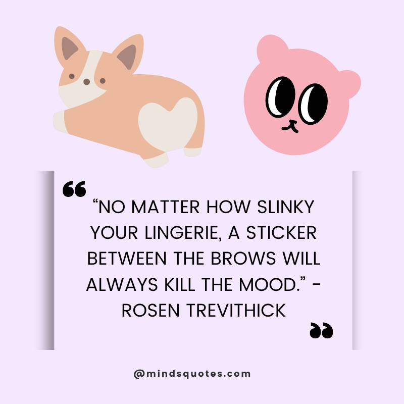 50 Famous National Sticker Day Quotes, Wishes & Messages 2 National Sticker Day Quotes