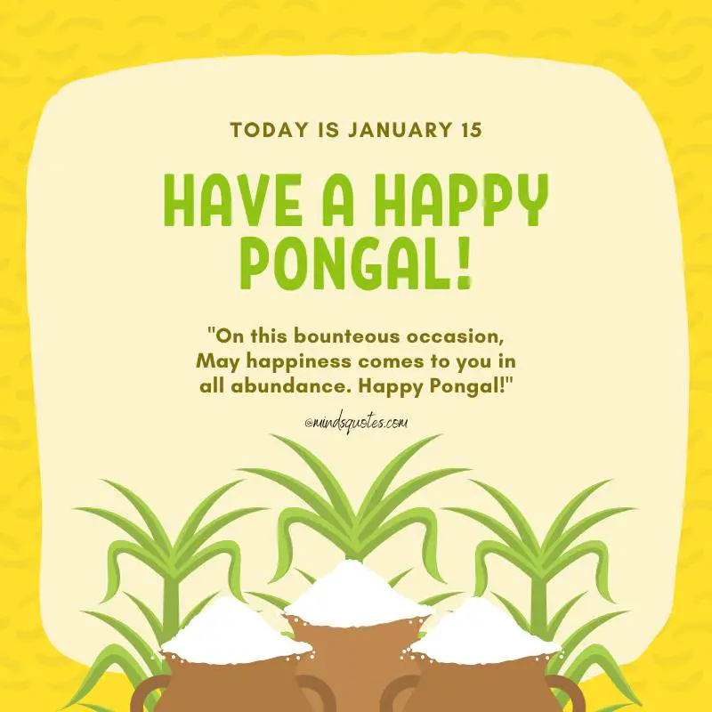 50 Happy Pongal Festival Quotes, Wishes, Messages, Greetings 9 Pongal Greeting