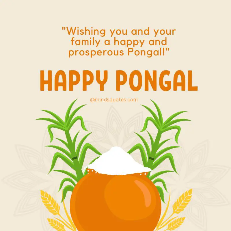 50 Happy Pongal Festival Quotes, Wishes, Messages, Greetings 8 Pongal Greeting