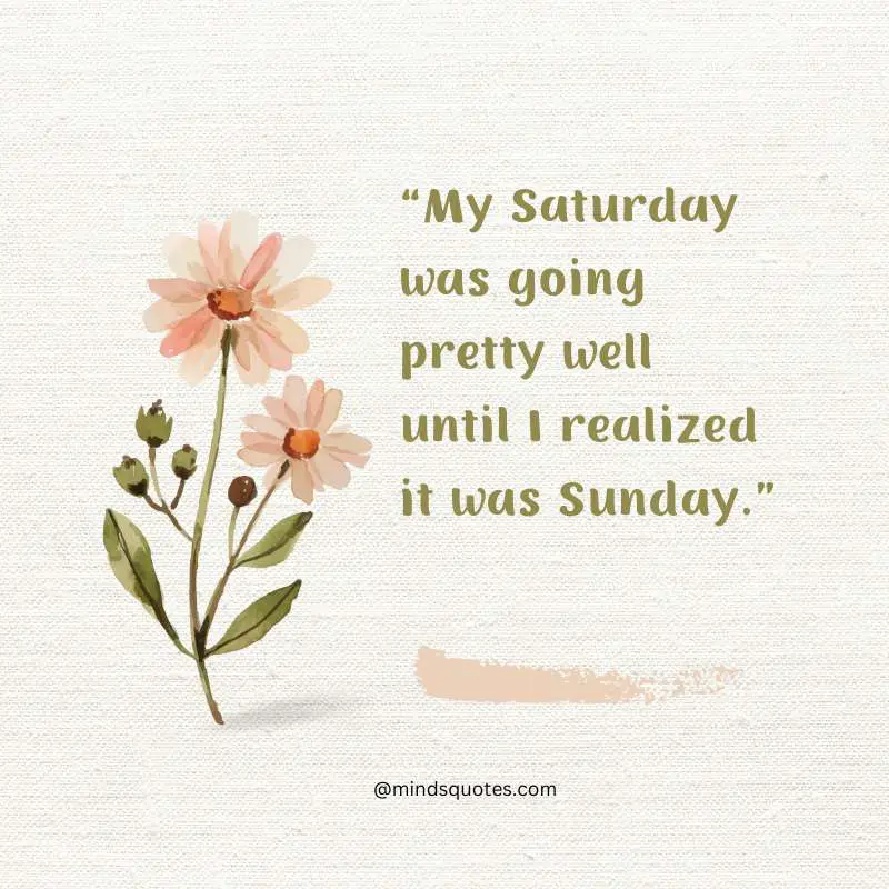 70 Best Saturday Quotes To Inspire You Every Weekend 6 Saturday Quotes Funny