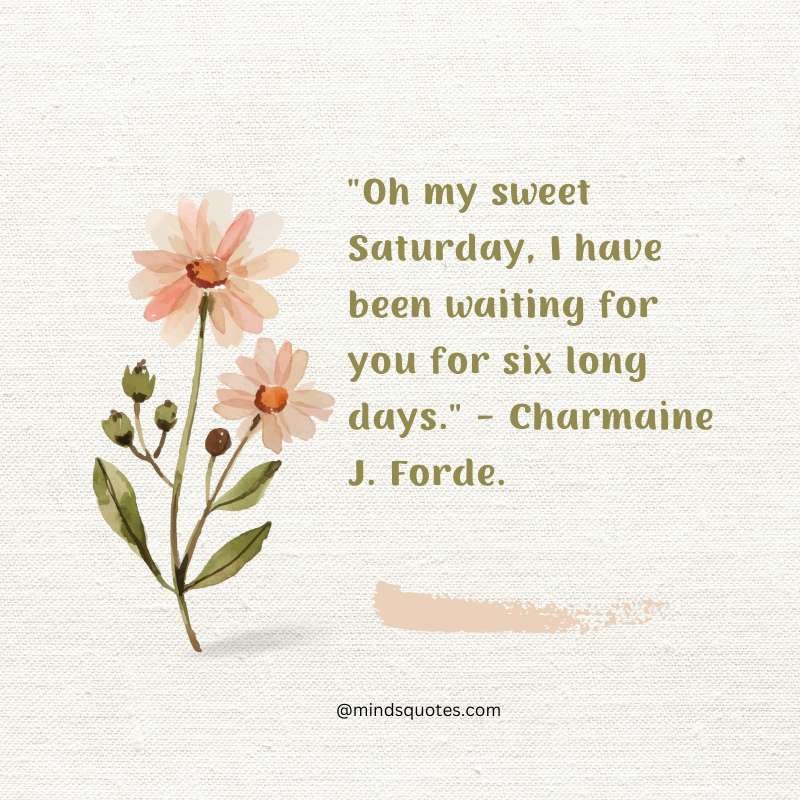 Sweet Saturday Quotes