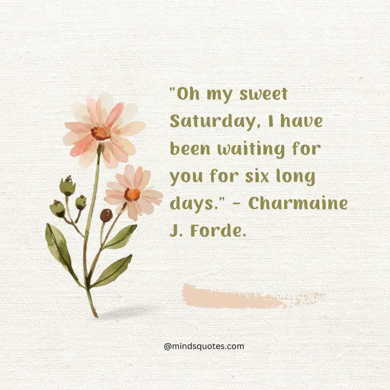 70 Best Saturday Quotes To Inspire You Every Weekend 11 Sweet Saturday Quotes