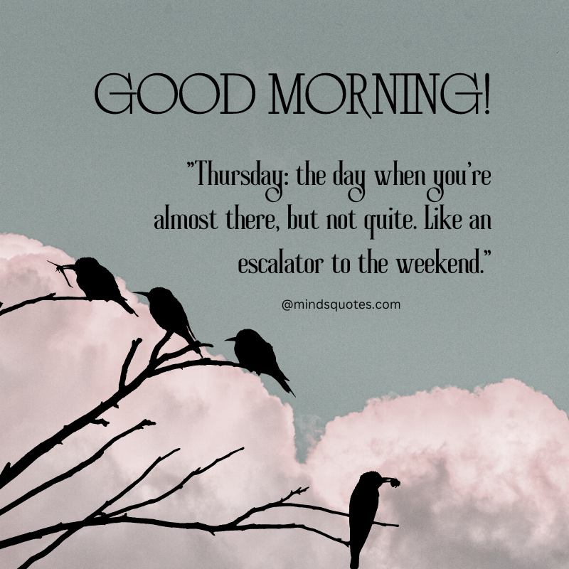 75 Thursday Good Morning Quotes To Brighten Your Day
