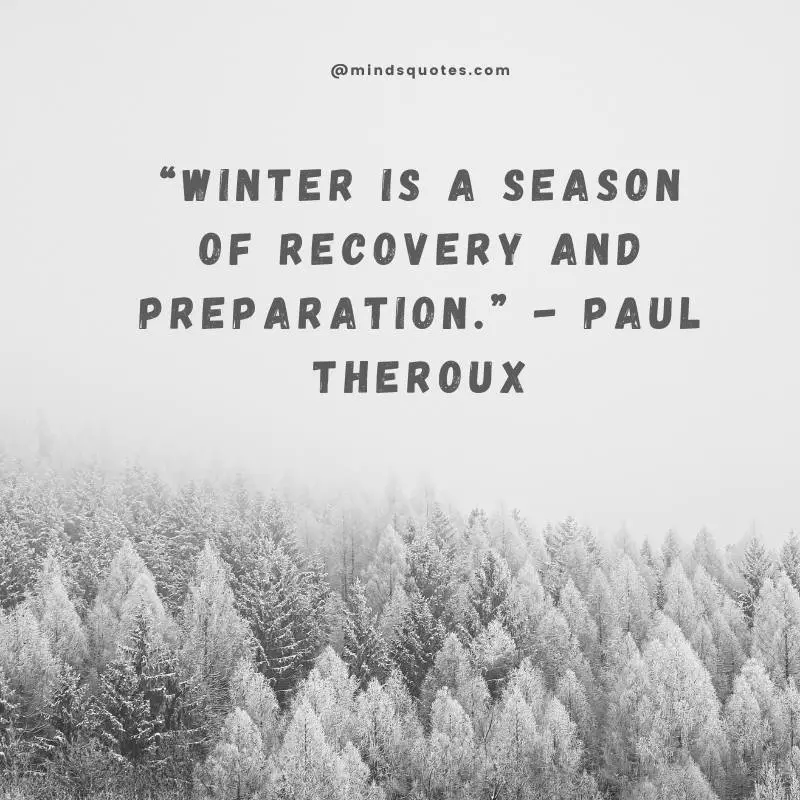 70 World Snow Day Quotes, Wishes & Messages, Captions 8 World Snow Day Messages