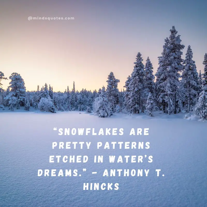 70 World Snow Day Quotes, Wishes & Messages, Captions 7 World Snow Day Messages