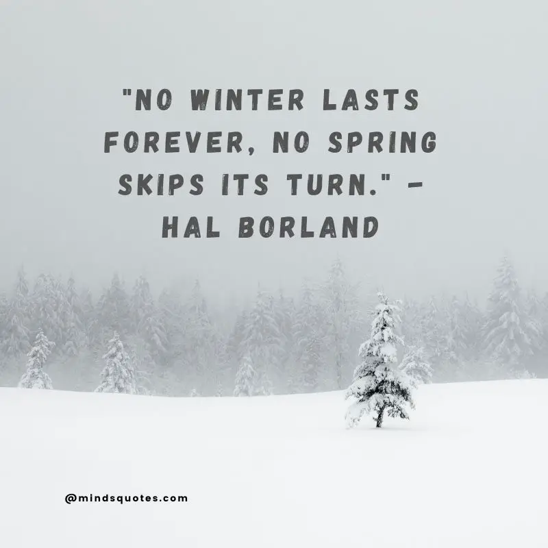 70 World Snow Day Quotes, Wishes & Messages, Captions 2 World Snow Day Quotes