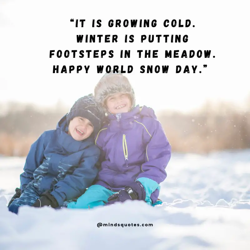 70 World Snow Day Quotes, Wishes & Messages, Captions 5 World Snow Day Wishes