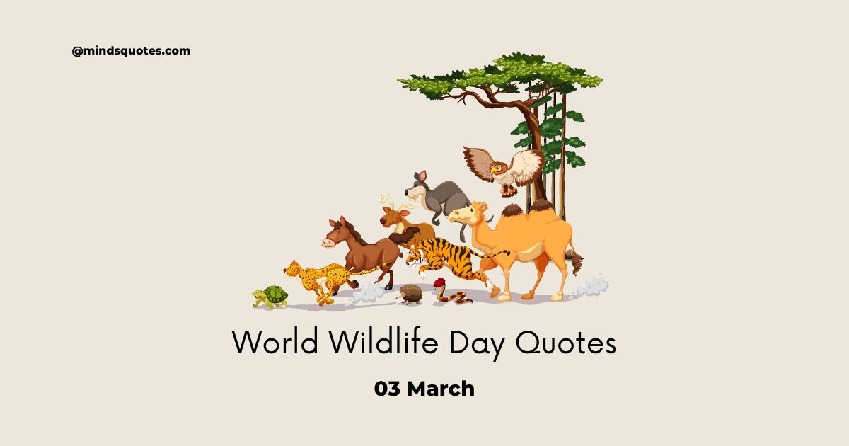 50 Famous World Wildlife Day Quotes, Wishes & Messages 