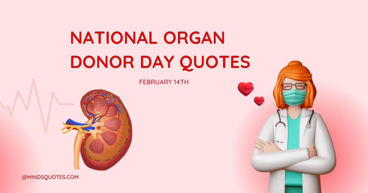50 National Organ Donor Day Quotes, Wishes & Messages 