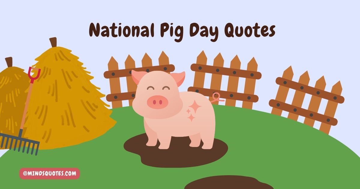 50 Popular National Pig Day Quotes, Wishes & Messages 