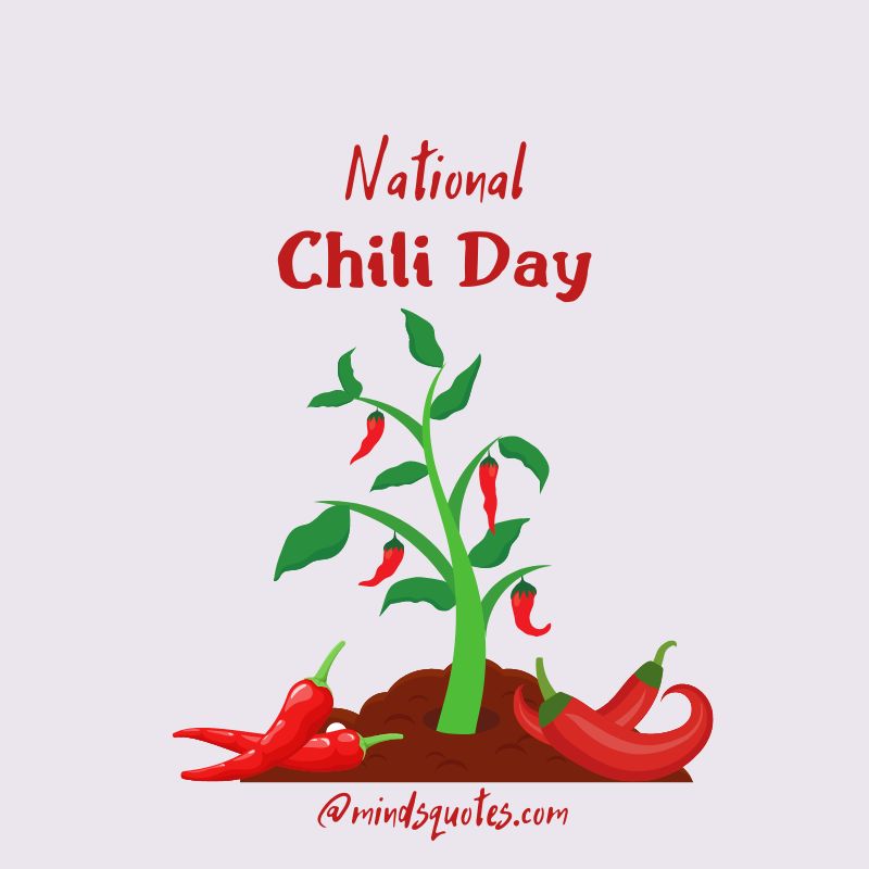 National Chili Day Messages 