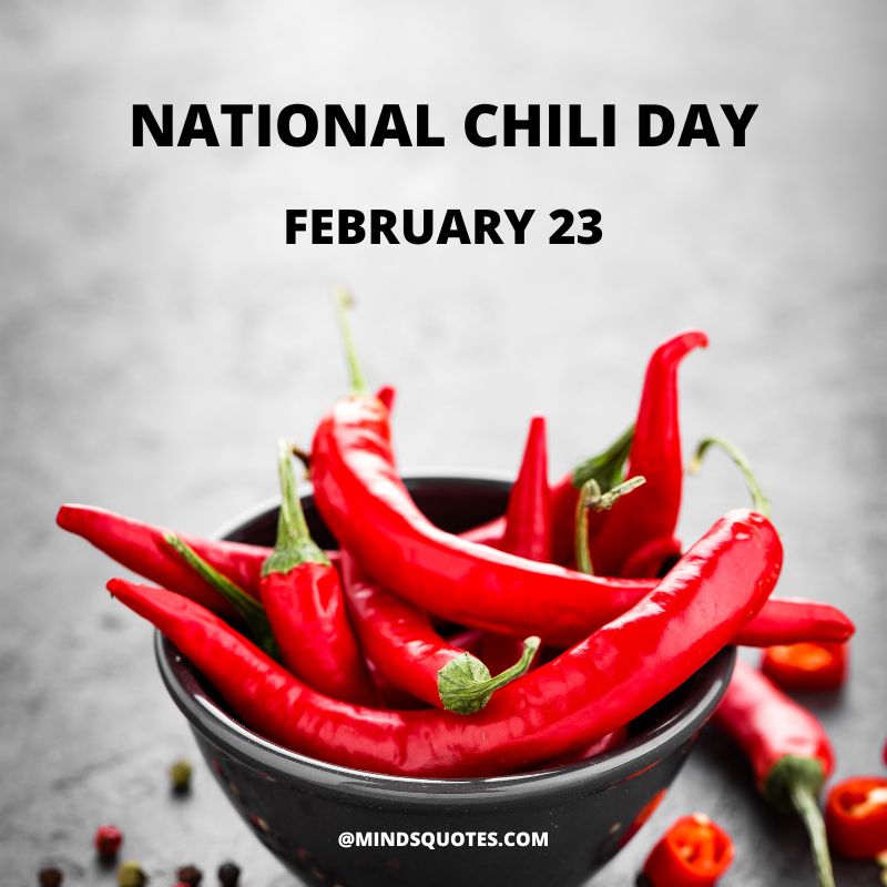 National Chili Day Quotes