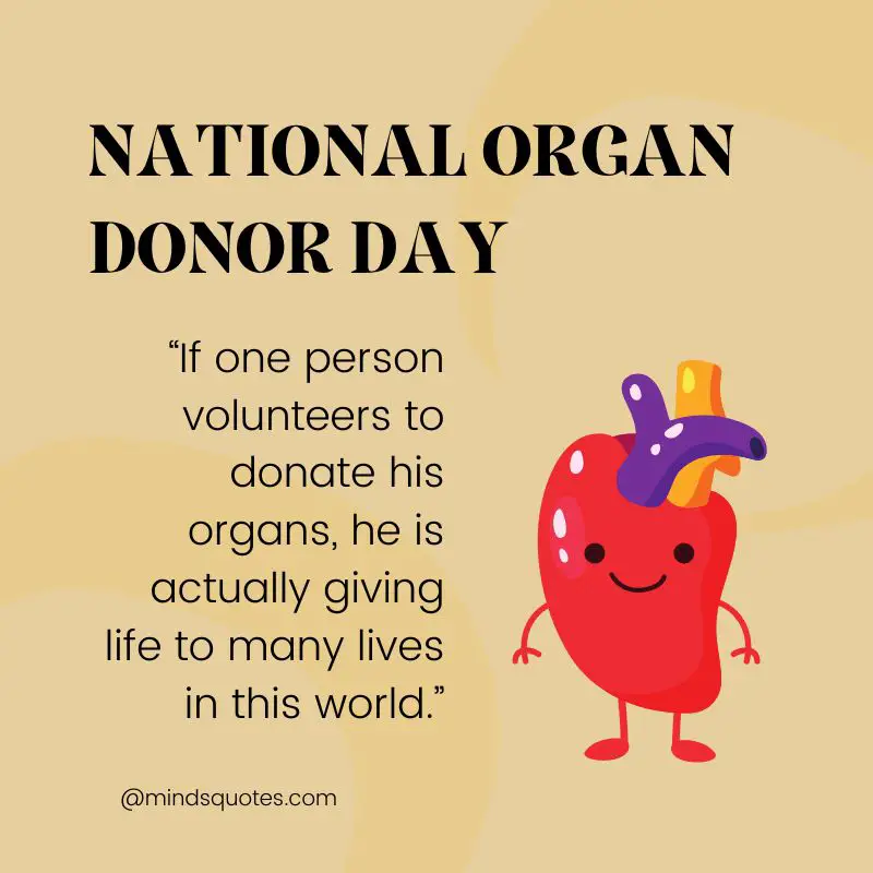 50 National Organ Donor Day Quotes, Wishes & Messages