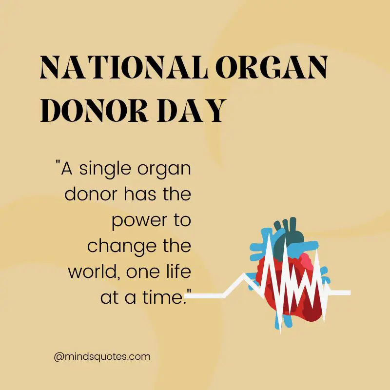 50 National Organ Donor Day Quotes, Wishes & Messages 6 National Organ Donor Day Messages