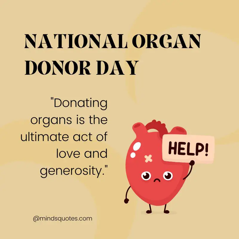 50 National Organ Donor Day Quotes, Wishes & Messages 3 National Organ Donor Day Quotes