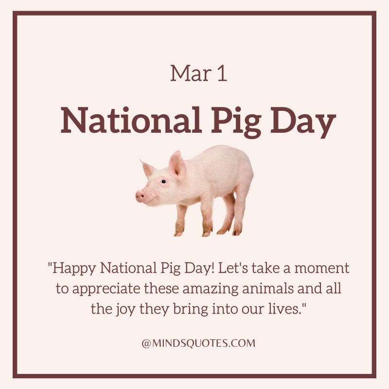National Pig Day  Messages 