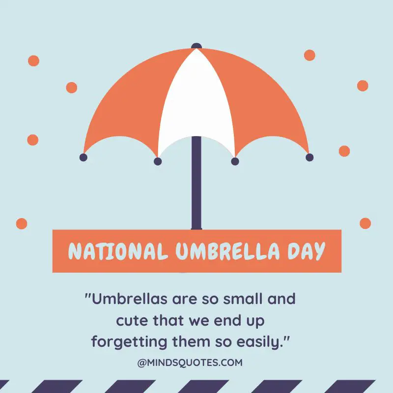 35 BEST National Umbrella Day Quotes, Wishes & Messages 6 National Umbrella Day Messages
