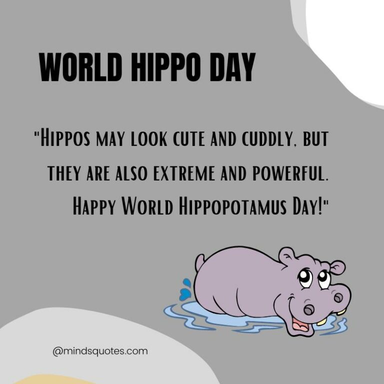 50 World Hippo Day Quotes, Messages & Wishes, Slogans