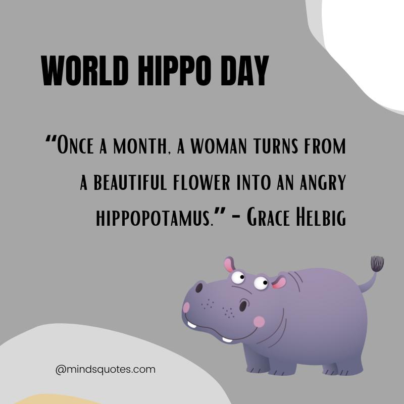 50 World Hippo Day Quotes, Messages & Wishes, Slogans 3 World Hippo Day Quotes