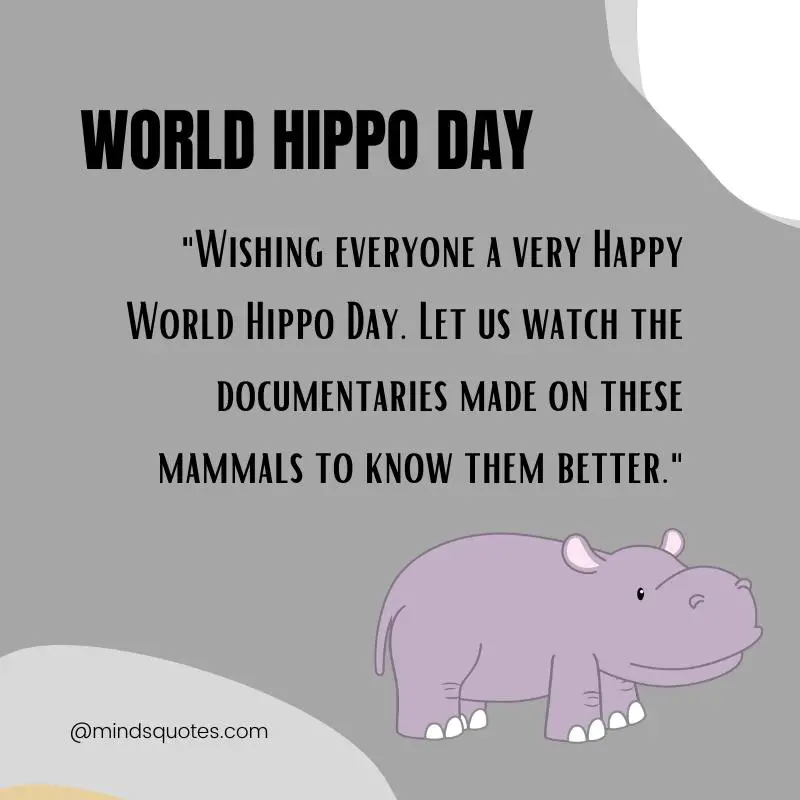 50 World Hippo Day Quotes, Messages & Wishes, Slogans 5 World Hippo Day Wishes