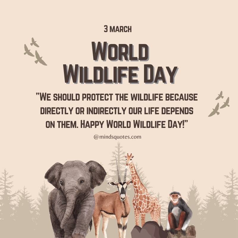 World Wildlife Day Messages 