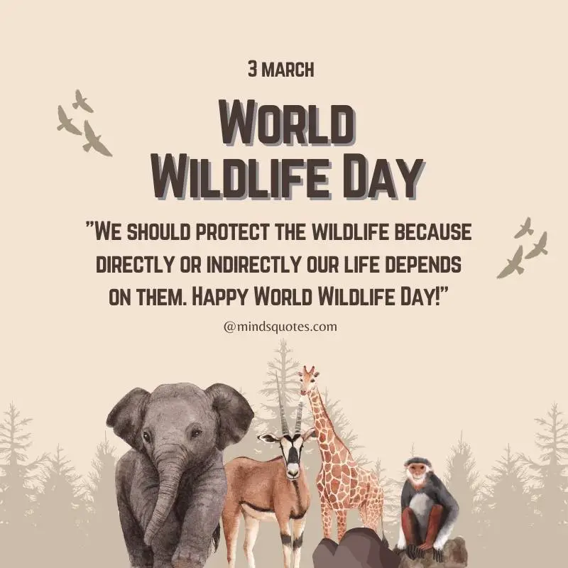 50 Famous World Wildlife Day Quotes, Wishes & Messages 5 World Wildlife Day Messages