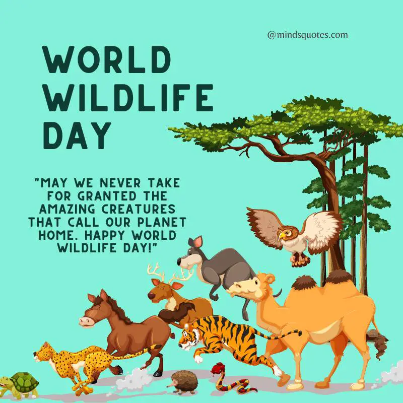 50 Famous World Wildlife Day Quotes, Wishes & Messages 6 World Wildlife Day Messages