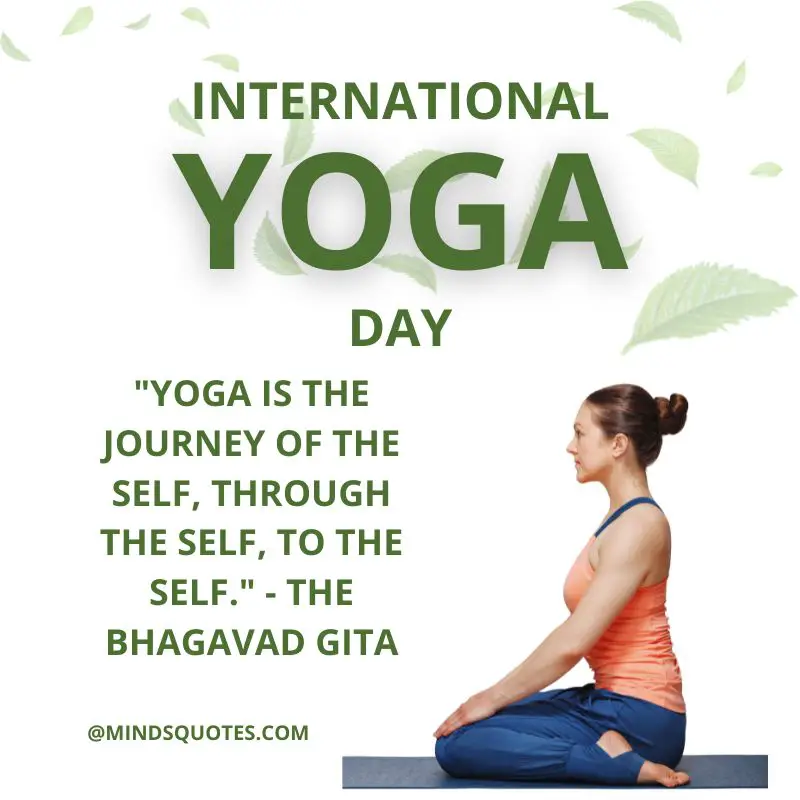 35 Most Popular World Yoga Day Quotes, Wishes & Messages 3 World Yoga Day Quotes