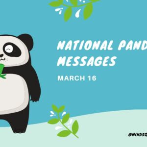35 Popular National Panda Day Messages, Quotes & Wishes