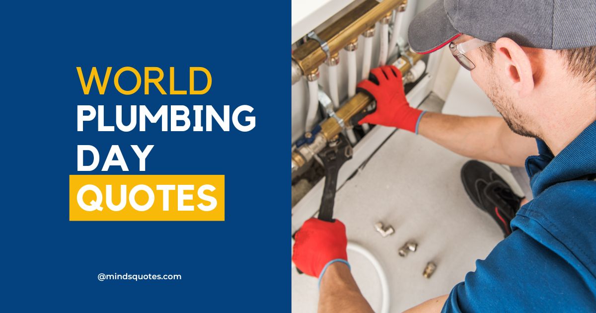 35 World Plumbing Day Wishes, Quotes & Messages 