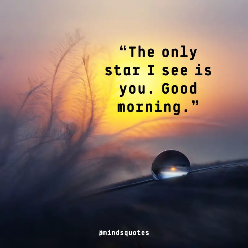 57+ BEST Good Morning Status With Images for WhatsApp 40 Good morning Love Status