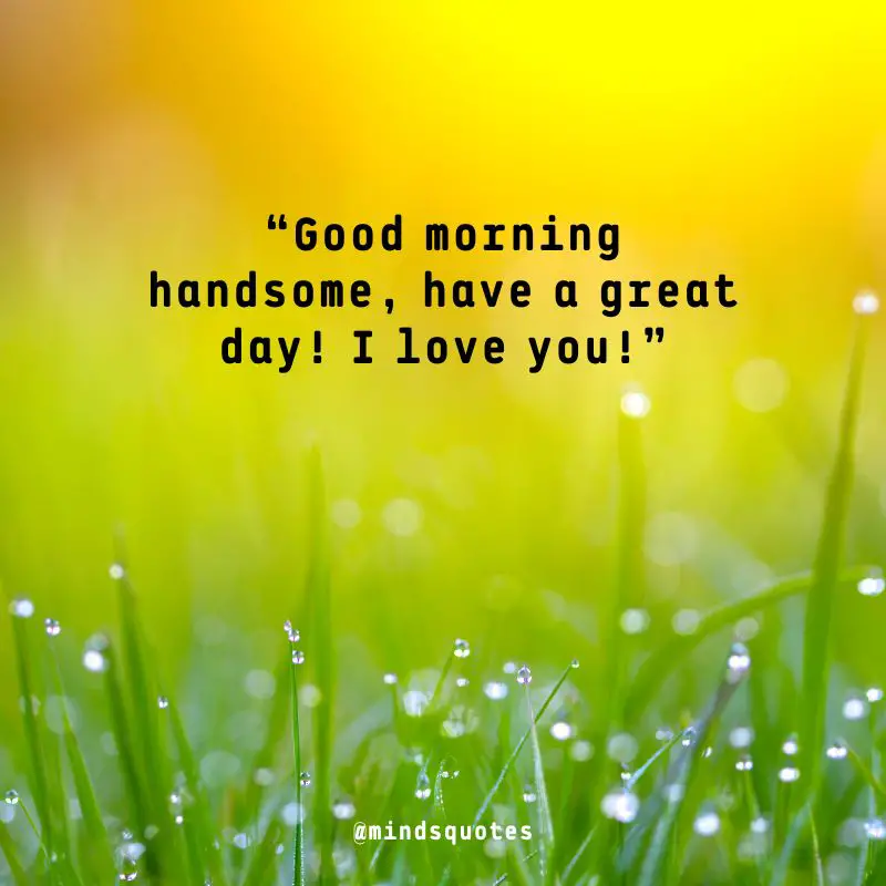 57+ BEST Good Morning Status With Images for WhatsApp 41 Good morning Love Status