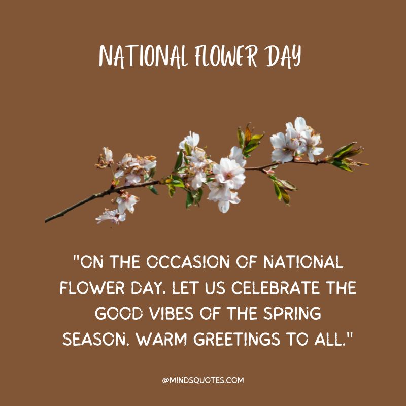National Flower Day Messages 